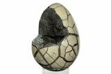 Septarian Dragon Egg Geode - Black Crystals #246062-2